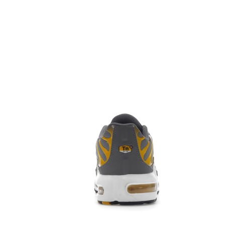 Кроссы Nike Air Max Plus Particle Grey (GS) - подростковая сетка размеров