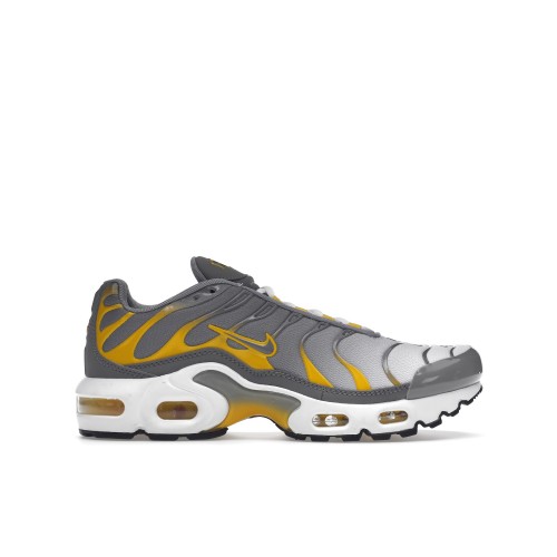 Кроссы Nike Air Max Plus Particle Grey (GS) - подростковая сетка размеров