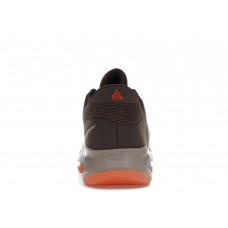 Кроссовки Nike Zoom Freak 4 Letter Bros