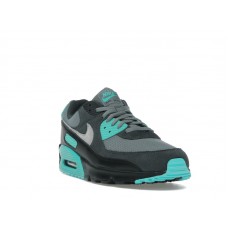 Кроссовки Nike Air Max 90 Cool Grey Dusty Cactus Black Wolf Grey