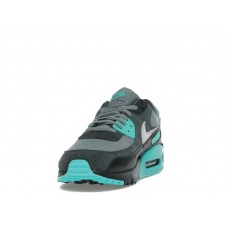 Кроссовки Nike Air Max 90 Cool Grey Dusty Cactus Black Wolf Grey