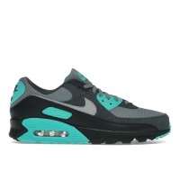 Кроссовки Nike Air Max 90 Cool Grey Dusty Cactus Black Wolf Grey