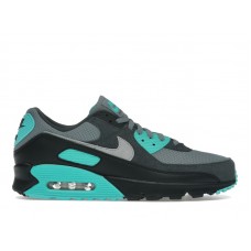 Кроссовки Nike Air Max 90 Cool Grey Dusty Cactus Black Wolf Grey