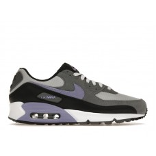 Кроссовки Nike Air Max 90 Photon Dust Light Thistle