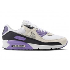 Кроссовки Nike Air Max 90 White Dusty Amethyst Photon Dust Light Smoke Grey