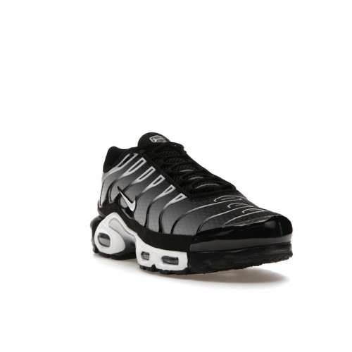 Кроссы Nike Air Max Plus Black Silver White - мужская сетка размеров