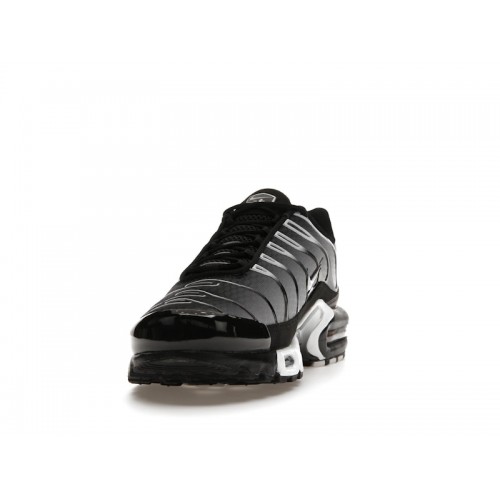 Кроссы Nike Air Max Plus Black Silver White - мужская сетка размеров