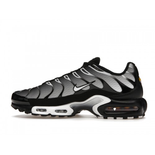 Кроссы Nike Air Max Plus Black Silver White - мужская сетка размеров