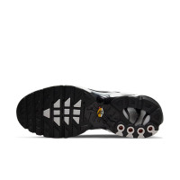 Nike Air Max Plus Black Silver White