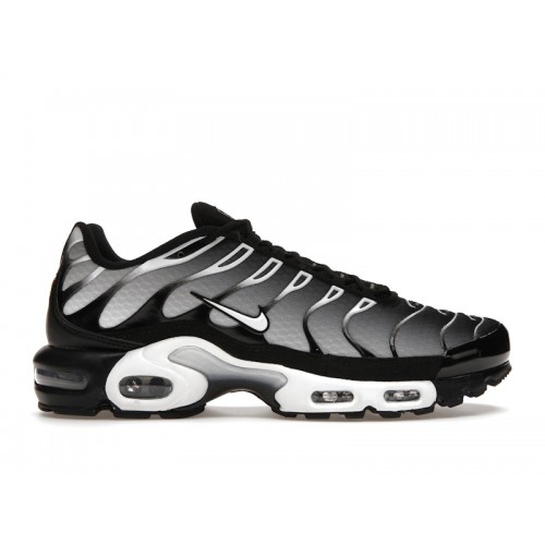 Кроссы Nike Air Max Plus Black Silver White - мужская сетка размеров