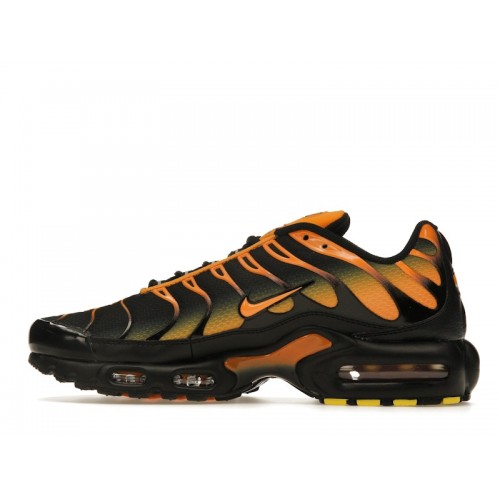 Кроссы Nike Air Max Plus Black Sundial - мужская сетка размеров