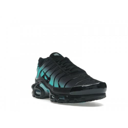 Nike Air Max Plus Black Dusty Cactus - мужская сетка размеров