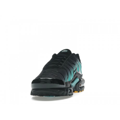 Nike Air Max Plus Black Dusty Cactus - мужская сетка размеров