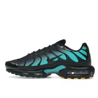 Nike Air Max Plus Black Dusty Cactus