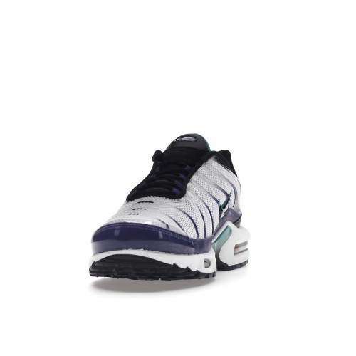 Кроссы Nike Air Max Plus White Grape Ice - мужская сетка размеров