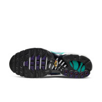Nike Air Max Plus White Grape Ice
