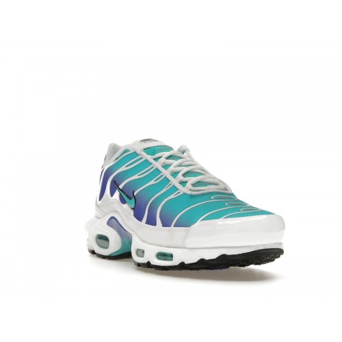 Кроссы Nike Air Max Plus Aqua - мужская сетка размеров