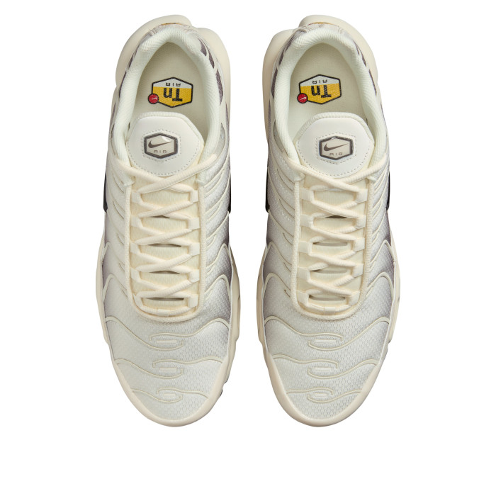 Nike Air Max Plus Light Orewood Cave Stone - мужская сетка размеров Nike Air Max Plus Light Orewood Cave Stone - мужская сетка размеров