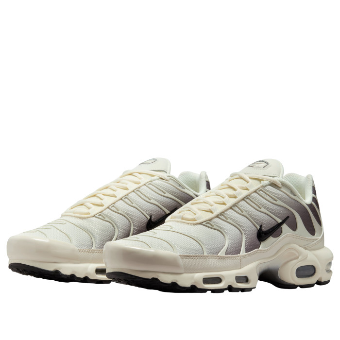 Nike Air Max Plus Light Orewood Cave Stone - мужская сетка размеров Nike Air Max Plus Light Orewood Cave Stone - мужская сетка размеров