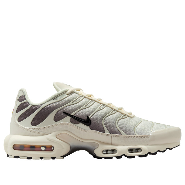 Nike Air Max Plus Light Orewood Cave Stone - мужская сетка размеров Nike Air Max Plus Light Orewood Cave Stone - мужская сетка размеров