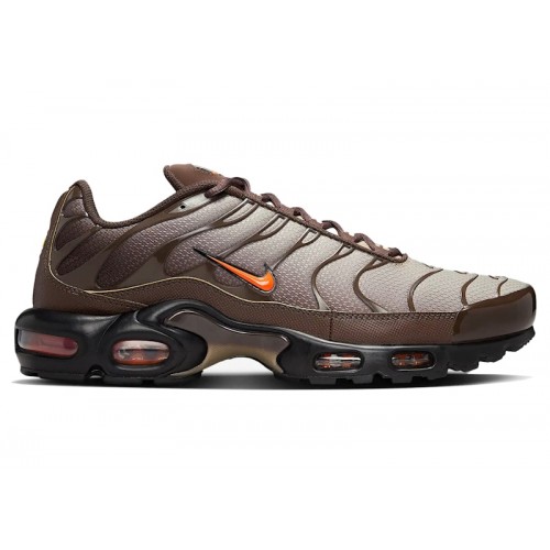 Кроссы Nike Air Max Plus Baroque Brown Safety Orange - мужская сетка размеров