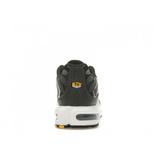 Nike Air Max Plus Sequoia Cargo Khaki - мужская сетка размеров