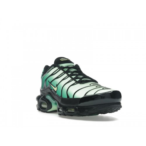 Nike Air Max Plus Vapor Green Gradient - мужская сетка размеров