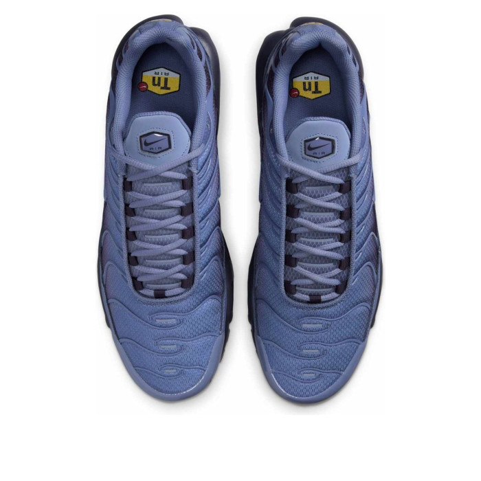 Nike Air Max Plus World Indigo - мужская сетка размеров Nike Air Max Plus World Indigo - мужская сетка размеров
