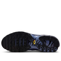 Nike Air Max Plus World Indigo
