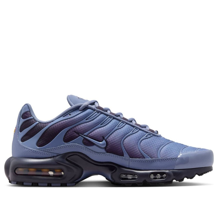 Nike Air Max Plus World Indigo - мужская сетка размеров Nike Air Max Plus World Indigo - мужская сетка размеров