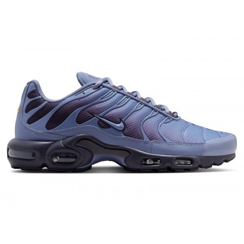 Nike Air Max Plus World Indigo - мужская сетка размеров