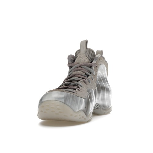 Кроссы Nike Air Foamposite One Dream A World Grey - мужская сетка размеров