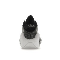 Кроссовки Nike Air Zoom Flight 95 OG Black Metallic Silver (2022)