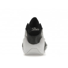 Кроссовки Nike Air Zoom Flight 95 OG Black Metallic Silver (2022)