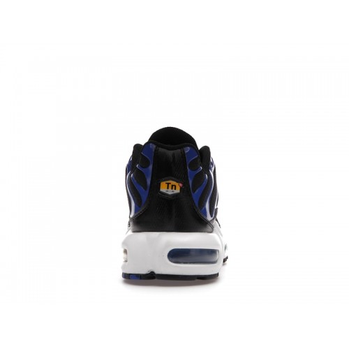 Кроссы Nike Air Max Plus Black Racer Blue - мужская сетка размеров