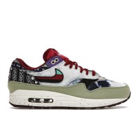 Кроссовки Nike Air Max 1 SP Concepts Mellow