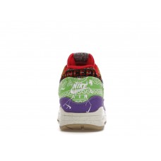 Кроссовки Nike Air Max 1 SP Concepts Far Out (Special Box)