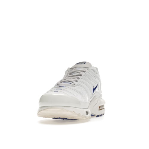 Кроссы Nike Air Max Plus Multi-Swoosh White - мужская сетка размеров