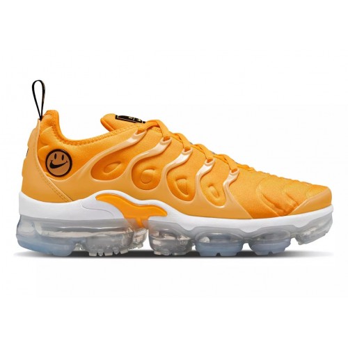 Кроссы Nike Air VaporMax Plus Go The Extra Smile (W) - женская сетка размеров