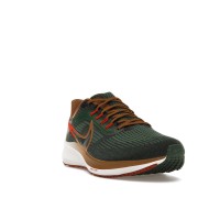 Кроссовки Nike Air Zoom Pegasus 39 A.I.R. Hola Lou