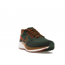 Кроссовки Nike Air Zoom Pegasus 39 A.I.R. Hola Lou
