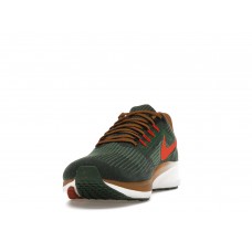 Кроссовки Nike Air Zoom Pegasus 39 A.I.R. Hola Lou