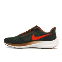 Кроссовки Nike Air Zoom Pegasus 39 A.I.R. Hola Lou