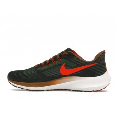 Кроссовки Nike Air Zoom Pegasus 39 A.I.R. Hola Lou