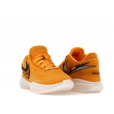 Кроссовки Nike LeBron 20 UNKNWN Art Basel South Beast