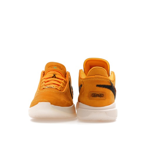 Кроссы Nike LeBron 20 UNKNWN Art Basel South Beast - мужская сетка размеров