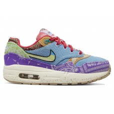 Детские кроссовки Nike Air Max 1 SP Concepts Far Out (PS)