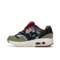 Детские кроссовки Nike Air Max 1 SP Concepts Mellow (PS)