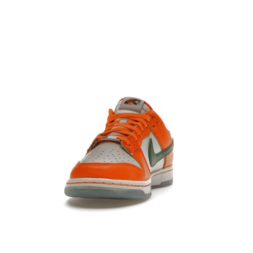 Кроссы Nike Dunk Low FAMU - мужская сетка размеров