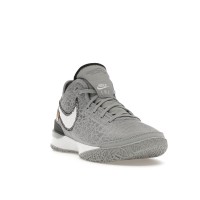 Кроссовки Nike Zoom LeBron NXXT Gen Wolf Grey Metallic Gold